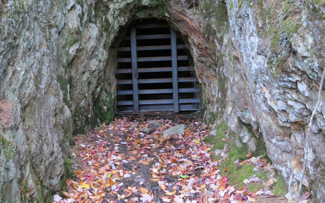 The closest thing N.H. has to a Bat Cave is now closed off from prying