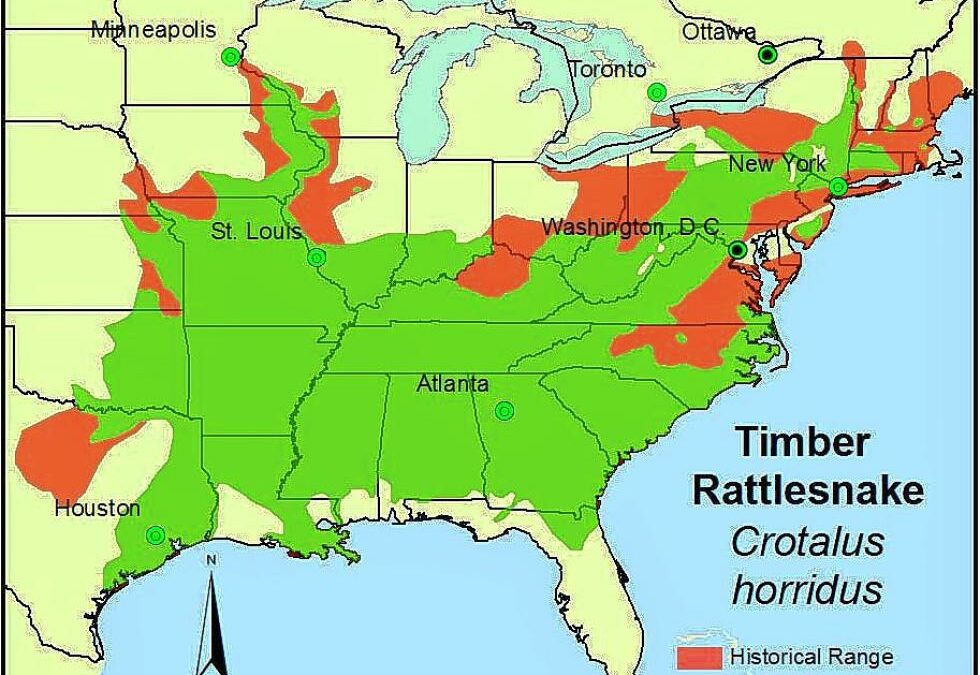 Red areas in this map from the Orianne Society, which protects wild reptiles and amphibians, are locations where the timber rattlesnake was once common and is now endangered or gone entirely.