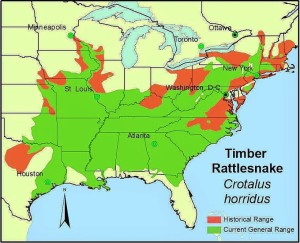 Red areas in this map from the Orianne Society, which protects wild reptiles and amphibians, are locations where the timber rattlesnake was once common and is now endangered or gone entirely. -