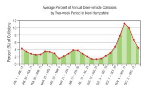 Deer-car collisions during the year in NH