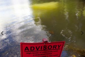A sign advises swimmers to stay out of Hot Hole Pond in Loudon due to a cyanobacteria bloom last week. ELODIE REED / Monitor staf
