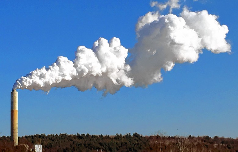 Could NH’s coal-fired power plant switch to partly burning wood?