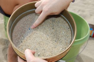 See the blue microplastic in the sand? There's lots more where that came from. (Photo by NH Sea Grant)