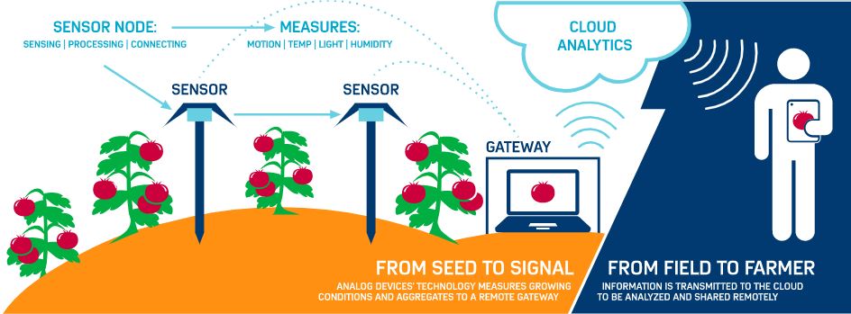 Internet of Tomatoes – now *that* is an IoT