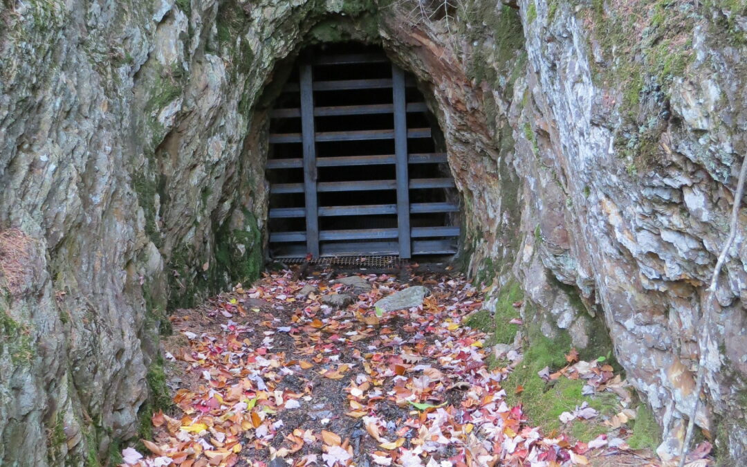 bat cave gate