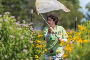 Molly Jacobson, a recent graduate of UNH’s undergraduate wildlife and conservation biology program, was one of four researchers who studied the status of the state’s bumble bee population. Credit: Jeremy Gasowski/UNH