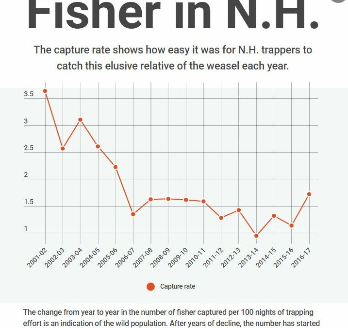fisher capture rate