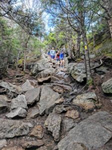 This is the Bridle Trail - one of the *easy* hiking trails in the White Mountains.