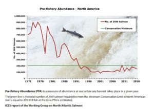 Source: "State of North American Atlantic Salmon Populations" Atlantic Salmon Federation