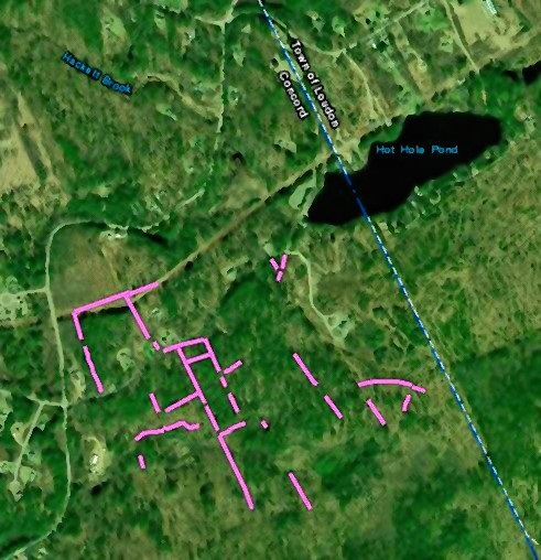 This Jan. 14, 2019, screen shot shows stone walls that have been mapped in east Concord as part of the Stone Wall Mapper project