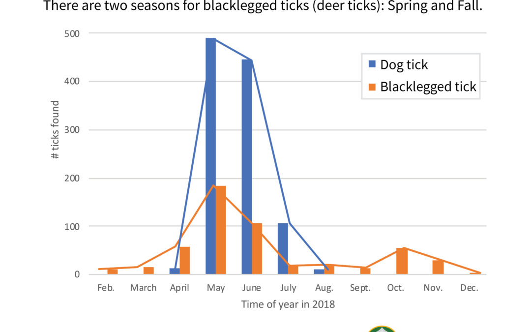 Citizen science study: Ticks are dangerous all year – plus, a new disease