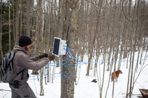 Jeff Moore checks one of the many solar-powered vacuum sensor stations out in the woods at the Windswept Maples Farm in Loudon. The radio-controlled device sends information on the vacuum strength of the tubing. Photo: Geoff Forester, Concord Monitor