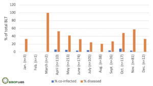 Very few of the ticks tested had more than one disease at any time of year. Chart by BeBop Labs