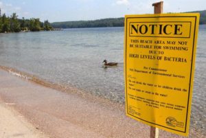 2014, file photo, a sign is posted on the beach at Sunapee State Park on Lake Sunapee in Newbury warning people to stay out of the water because of algae blooms. AP