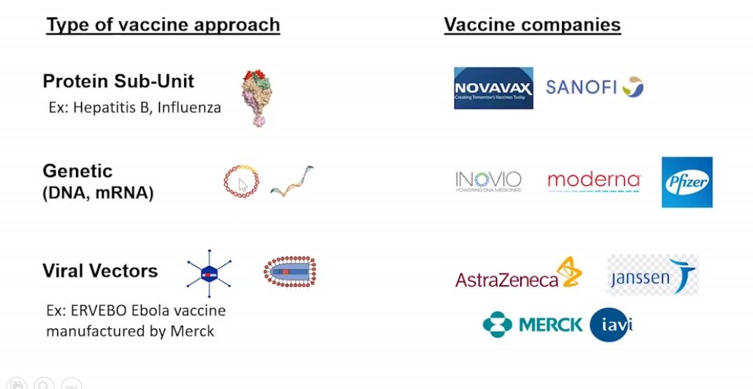 Everything you wanted to know about COVID vaccines