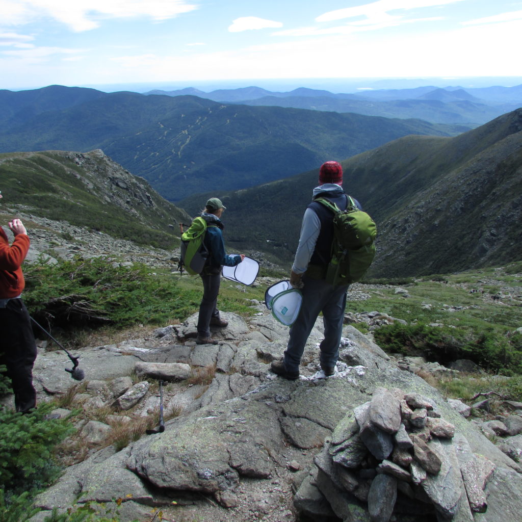 Biologist Heidi Holman of New Hampshire Fish & Game (left) and  biologist Steven Fuller of U.S. Fish and Wildlife Service, above  Tuckerman Ravine on Mount Washington. 