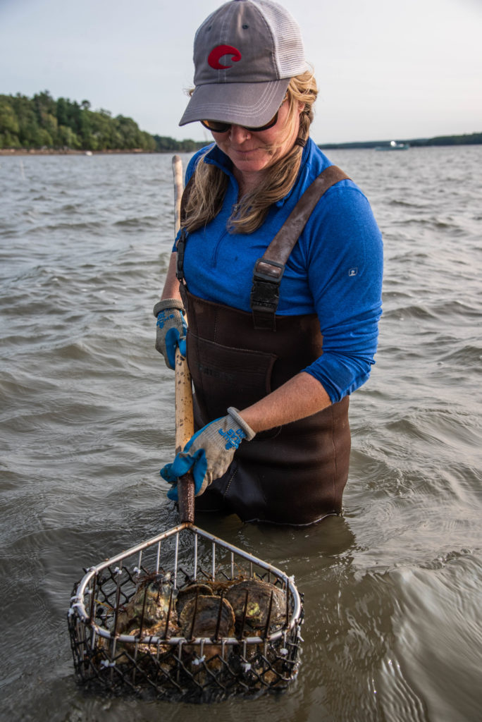 3 / 4
Krystin Ward, owner of Choice Oysters, one of nine oyster farmers participating in a restoration project in Great Bay. The farmers’ business has been crippled by COVID-19 closures because most of their sales are to oyster bars and restaurants. Tim Briggs/UNH—Courtesy