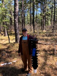 Caroline Kanaskie, UNH doctoral student, holds a specialized funnel trap baited with chemical lures, including bark beetle pheromones, where the southern pine beetles were found in Waterboro, Maine. Photo Credit: Caroline Kanaskie / UNH