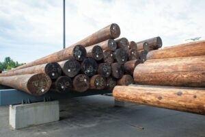 2016 photo: Eversource’s Hookset Work Center stores hundreds of utility poles of different sizes in preparation for installation. The poles are bought from a South Carolina firm that grows, cuts and treats them for many utility companies. ELIZABETH FRANTZ / Monitor sta