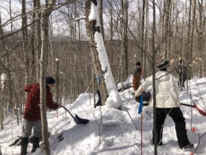 am members shovel snow in Hubbard Brook Experimental Forest – 15,000 kilos of it, by one estimate – to set up a soil-nitrogen experiment on March 3. Photos courtesy of Brendan Leonardi / Hubbard Brook Research Foundation