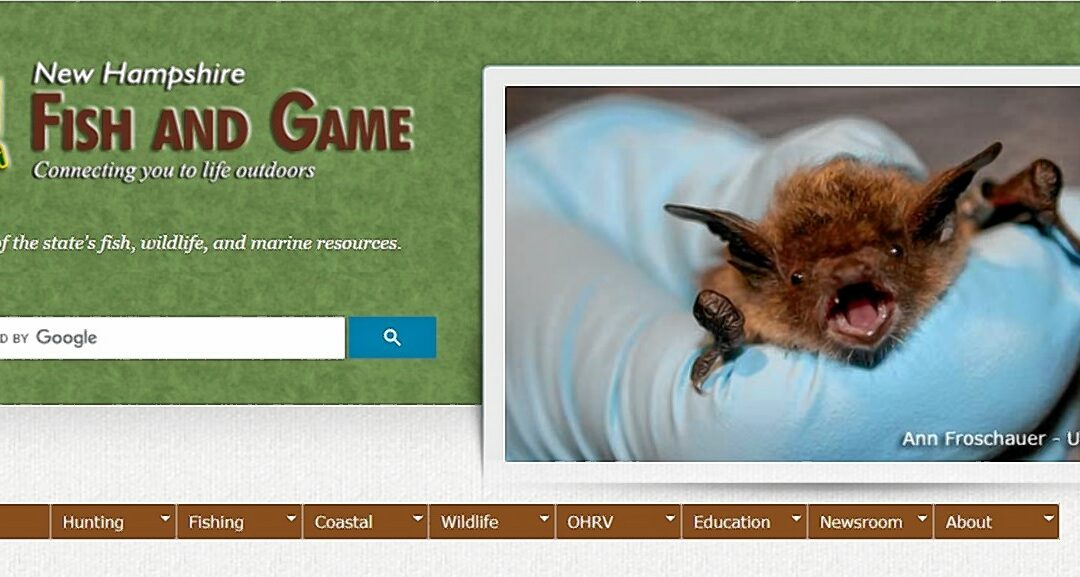 Bat Counts project hints (but only hints) that our bat population may have stopped shrinking