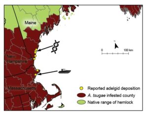Double helix icon shows Wells Beach, Maine, where samples collected for DNA barcoding. Boat icon shows Misery Island, Mass., where a boater documented mass deposition of insects on the water surface. Map provided by USDA Forest Service, Eastern Region S&PF, Forest Health Protection.