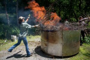burning wood in a kiln for biochar