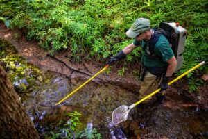 John Magee, fisheries habitat research and management programs coordinator at New Hampshire Fish and Game, ventures through a tributary to the Suncook River in Epsom, looking for trout to shock on Wednesday, July 13, 2022.