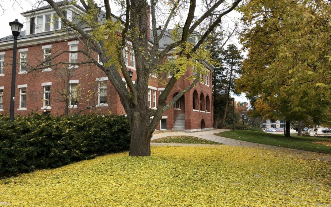 Another climate change measurement: The UNH ginkgo tree