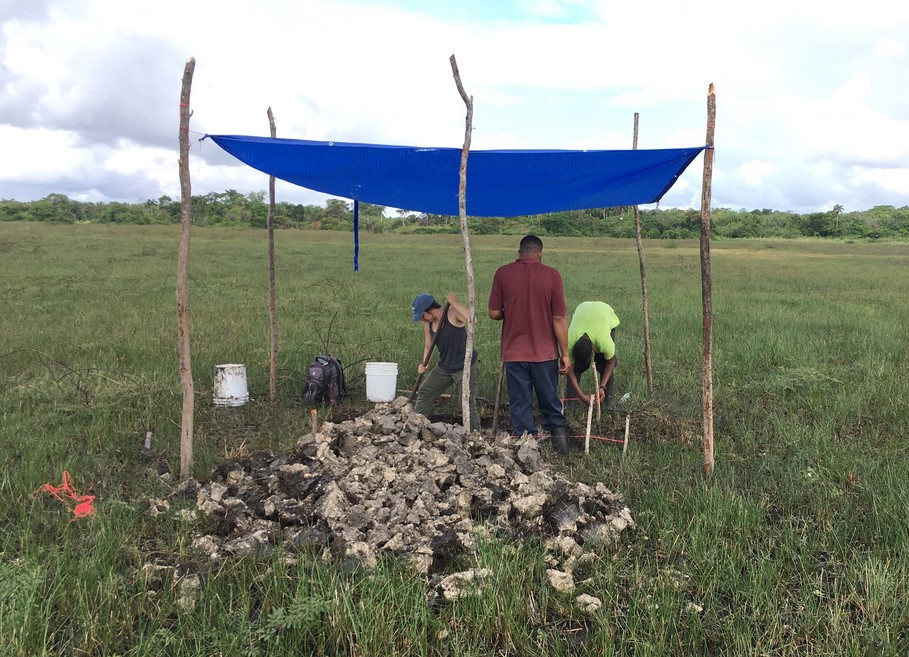 Finding early (very early!) evidence of fish-trapping in Belize