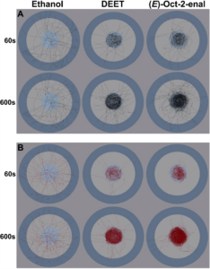 Longitudinal maps of tick movements attracted to Ethanol but repelled by DEET and the donkey skin secretion, (E)-2-octenal.
