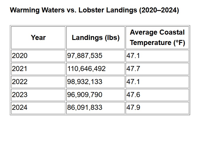 Warmer waters means fewer lobsters